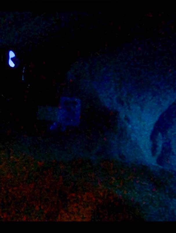 sodeep-diapo-plongee-peinture sous l eau