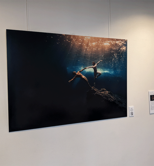exposition-sofitel-sodeep-2024-peinture-en-apnée-sous-l'eau_0003_PXL_20240529_150859863