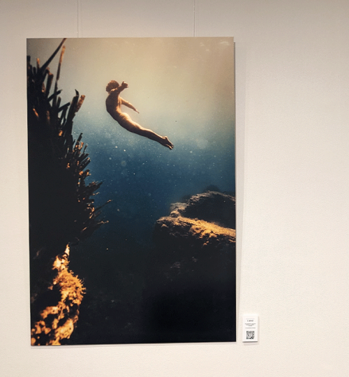 exposition-sofitel-sodeep-2024-peinture-en-apnée-sous-l'eau_0004_PXL_20240529_150846067-copie