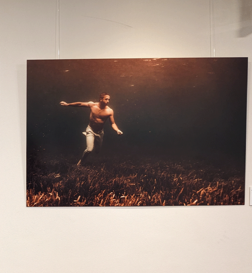 exposition-sofitel-sodeep-2024-peinture-en-apnée-sous-l'eau_0005_PXL_20240529_150846067