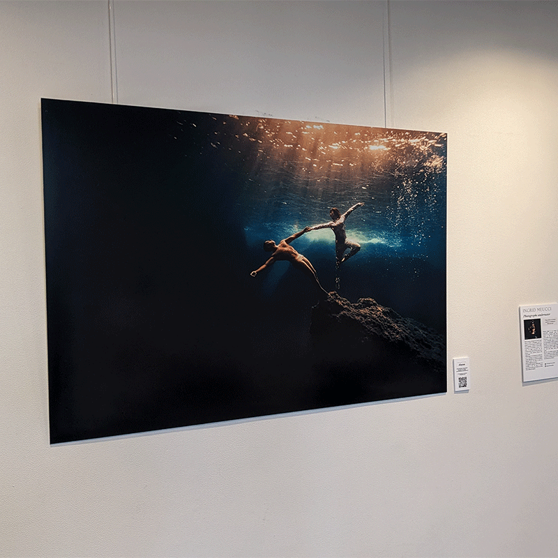 exposition-sofitel-sodeep-2024-peinture-en-apnée-sous-l'eau_0003_PXL_20240529_150859863
