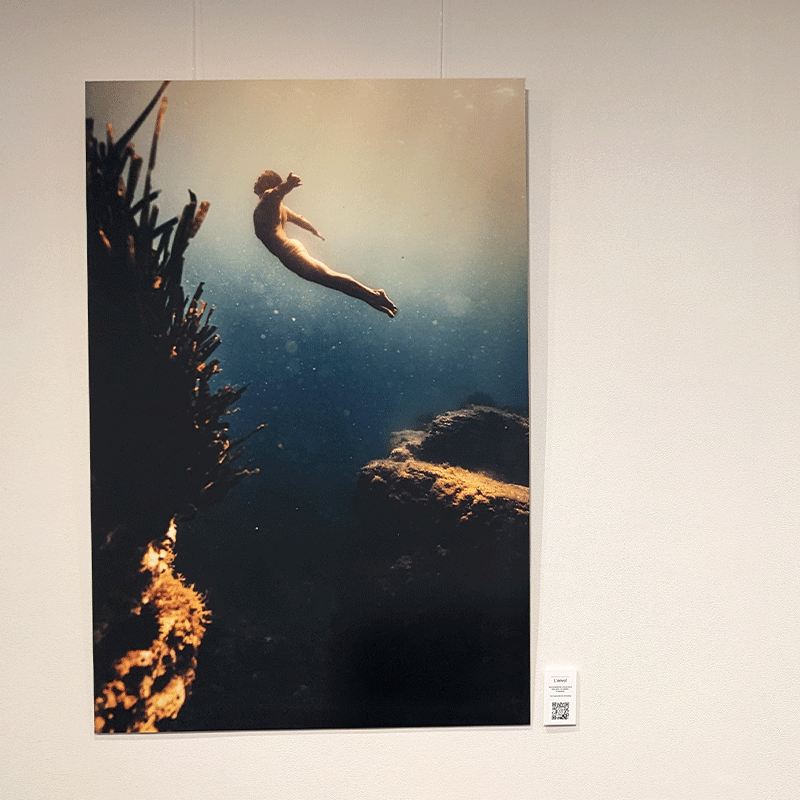 exposition-sofitel-sodeep-2024-peinture-en-apnée-sous-l'eau_0004_PXL_20240529_150846067-copie