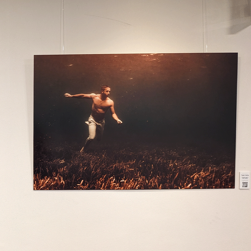 exposition-sofitel-sodeep-2024-peinture-en-apnée-sous-l'eau_0005_PXL_20240529_150846067